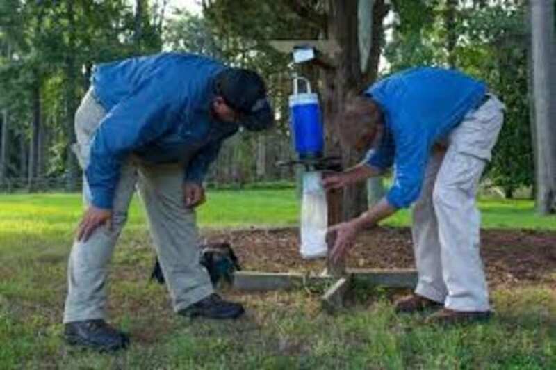 Pest Control Service